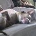 Todd Caldwell - Facebook