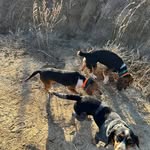 Todd Caldwell - @toddcaldwell6 - Instagram