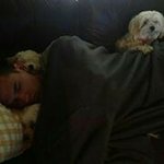 Todd Callaway - @toddlcallaway - Instagram