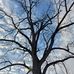 Todd Calvert - Facebook