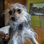 Todd Calvert - @allthatihavemet - Instagram