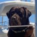 Todd Canfield - Facebook