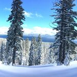 Todd Cantwell - @cantwell5678 - Instagram