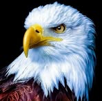 Todd Carlton - Facebook