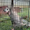 Todd Carson - @todd.carson - TikTok
