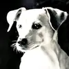 Todd Carter178 - @tc..68 - TikTok