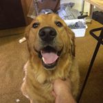 Todd Carter - @toddcarter4 - Instagram