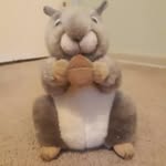 Todd Carter - @husker_todd_ - Instagram