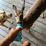 Todd Carter - @toddcarter98 - Instagram