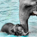 Todd Cartwright - @megschiway - Instagram