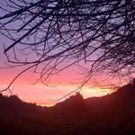 Todd Castleman - @castleman.todd - Instagram