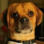 Todd D. Castle - @toddcastle - Instagram