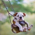Todd Chaney - @blackcadillack - Instagram