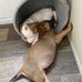 Todd Chaney - Facebook