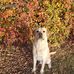 Todd Chappell - Facebook