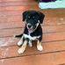 Todd Chappell - Facebook