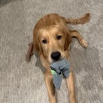 Todd Chappell - @chappellt33 - Instagram
