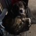 Todd Bierygoat Roland Ronald M Chasteen St.Claire III - Facebook