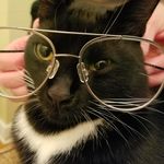 Todd Cermak - @toddc612 - Instagram