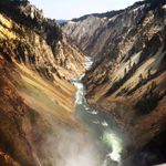 Todd Coleman - @yellowdog20 - Instagram