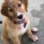 Todd Coleman - @t_coleman_jr - Instagram