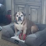 Todd Collier - Facebook