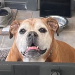 Todd Collier - Facebook