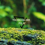 Todd Collier 📸 🎥 - @toddcollierfilm - Instagram