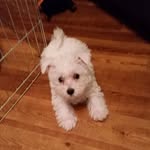 Lorraine Connolly Todd - @lorraineconnollytodd - Instagram