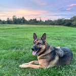 Todd Connolly - @todd_connolly - Instagram