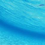 Todd_Connolly - @todd_connollye - Instagram
