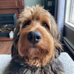 Todd Connors - @toddconnors - Instagram