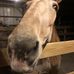 Todd Conrad - Facebook