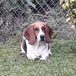 Todd Conrad - @toddtodd44 - Instagram