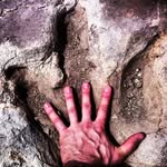 Todd Corn - @gcornholio - Instagram