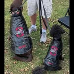 Todd Cornelius - @_make_sit_happen_ - Instagram