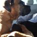 Todd Coakley - Facebook