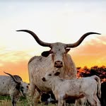 Todd Covington - @covington_todd - Instagram