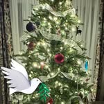 Todd Cramer - @mrtoddcramer - Instagram