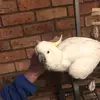 toddcrandell528 - @toddcrandell528 - TikTok