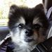 Todd Cripe - Facebook