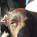 Todd Cronen - Facebook
