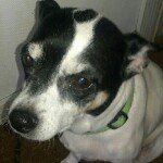 todd dale - @papatodd69 - Instagram