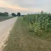 Todd Dale - @tdale004 - TikTok