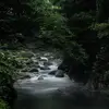 Todd Dale - @todd..dale - TikTok