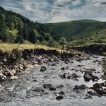 Todd Davies - @t_davies8 - Instagram