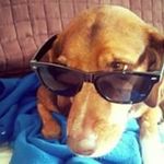 Todd Day - @todd1799 - Instagram