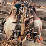 Todd Denlinger - @denlingeroutdoors - Instagram