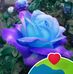 ຍົກເຮຶອນ ຍ້າຍເຮຶອນ - Facebook