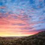 Todd Dewey - @toddsdewey - Instagram